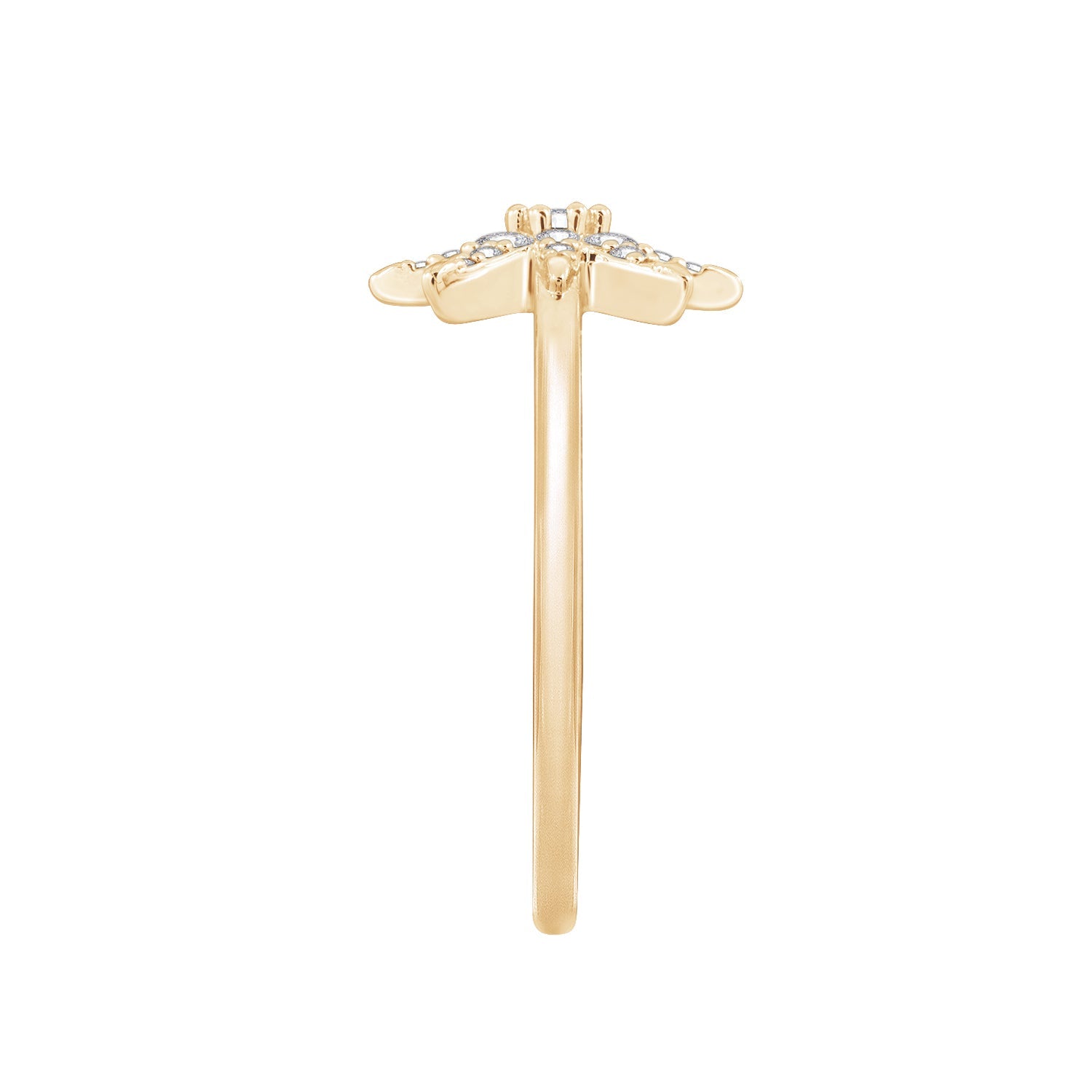 Stellar Ring
